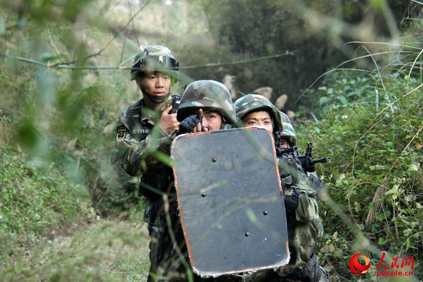 2016��11��26�գ��侯��ս��Ա�ڿ�չ���ֵز���ѵ����