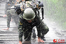 "ħ����"ѵ�����챾���Ӳ"�׶���ʿ"