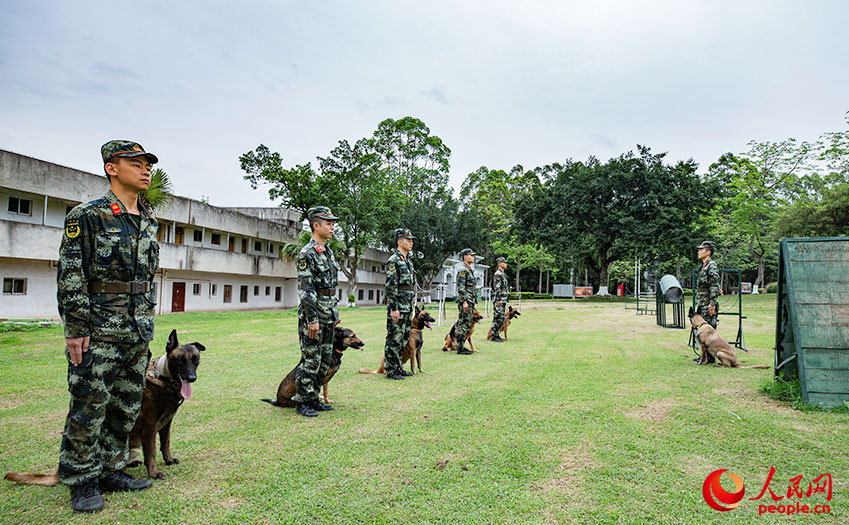 ѵ�����ϣ�����Ȼ��