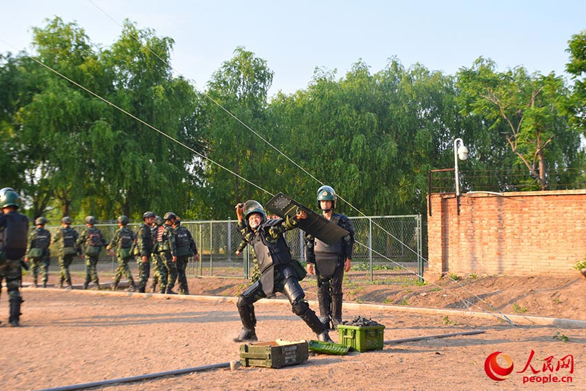 ����Ͷ��