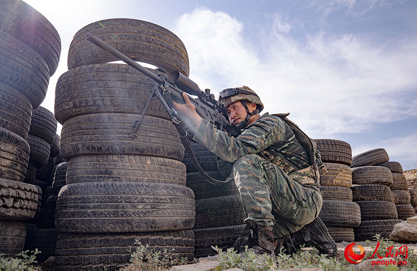 Ӧ�þѻ�ѵ����