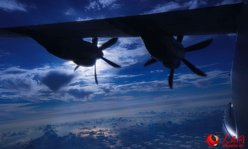 ����֮����ӥָ��������