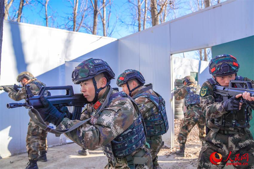  �������Ӳ����