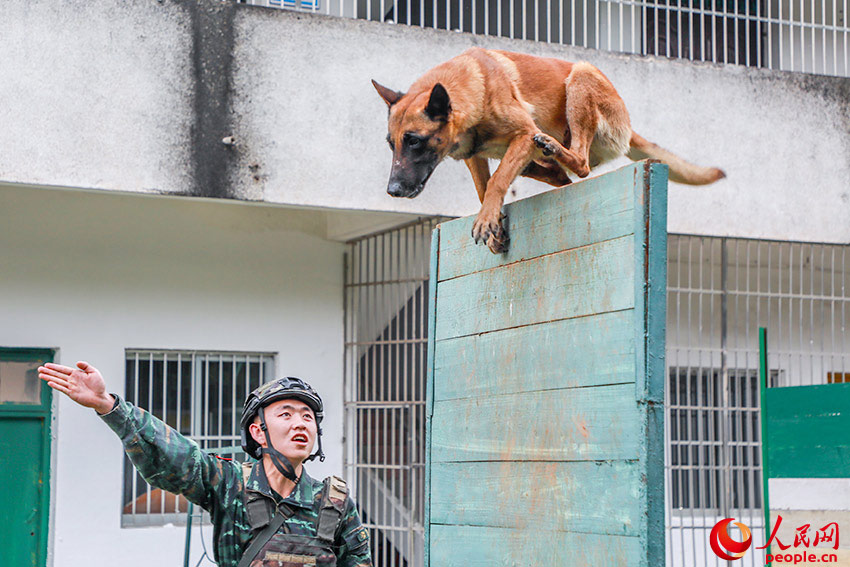 ���з�Խ�߰��ϰ�ѵ����