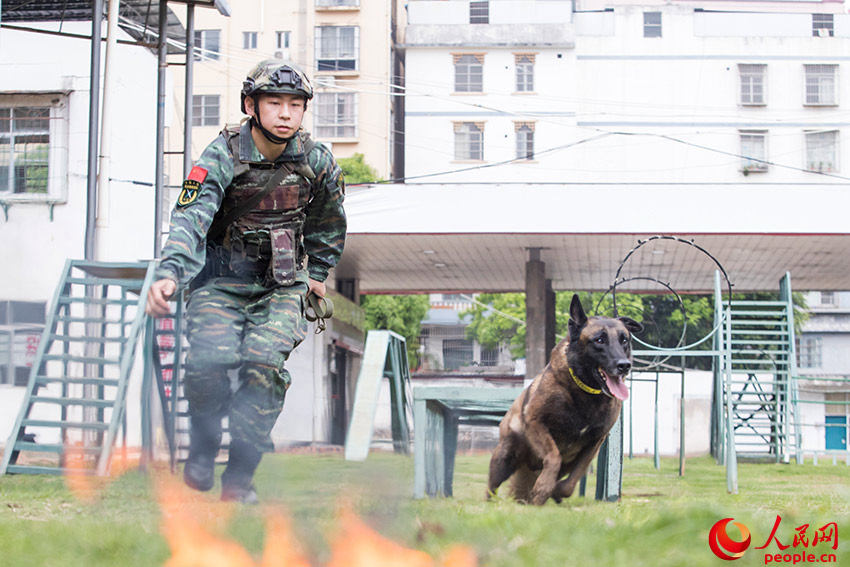 ��������ͨ���ϰ�ѵ����