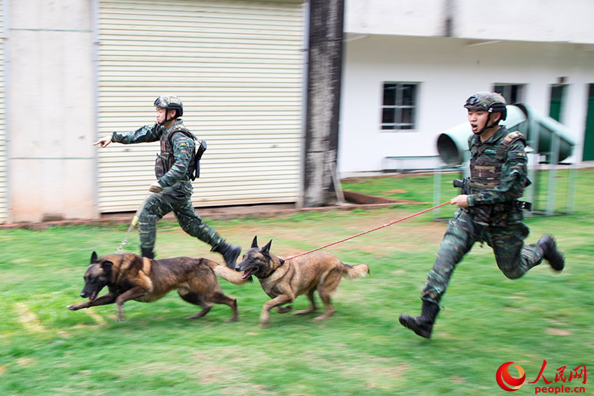 ����Эͬ׷��ѵ����