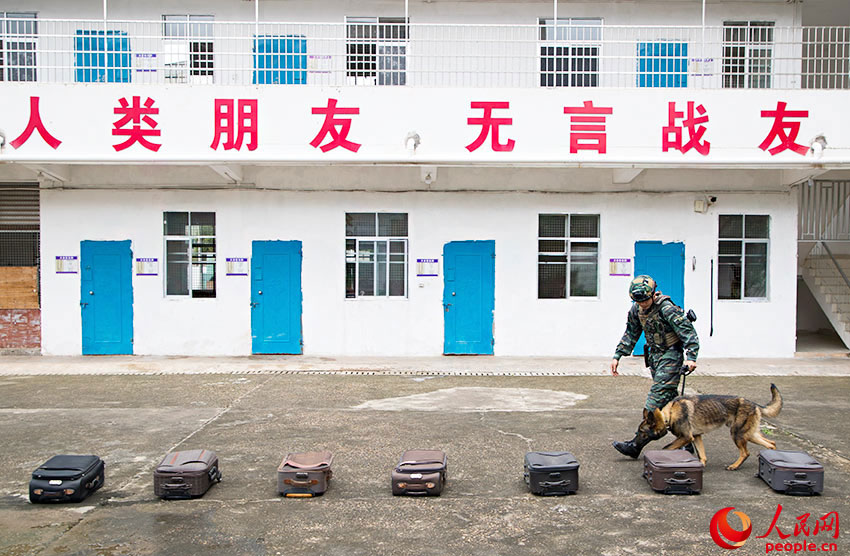 �����ѱ�ѵ����