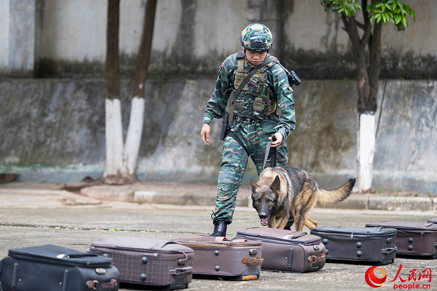 �����ѱ�ѵ����