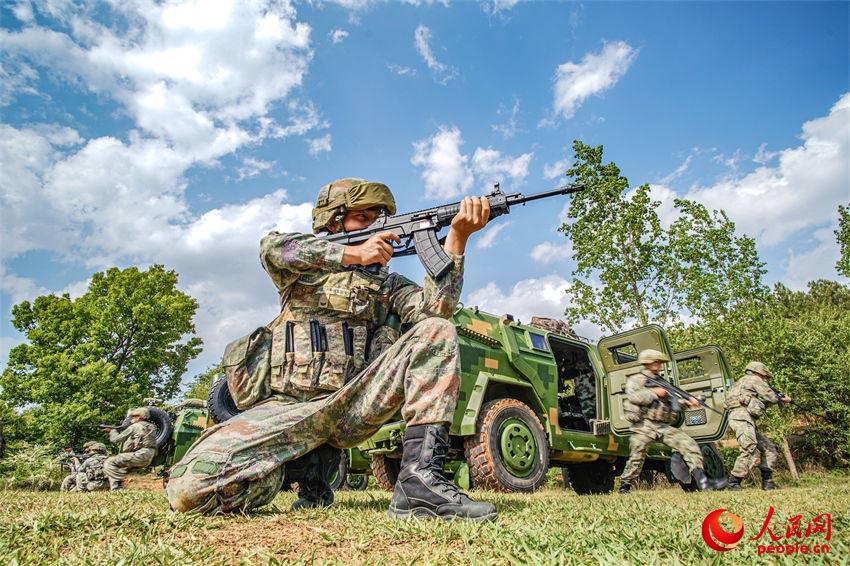 �����³�Эͬѵ����