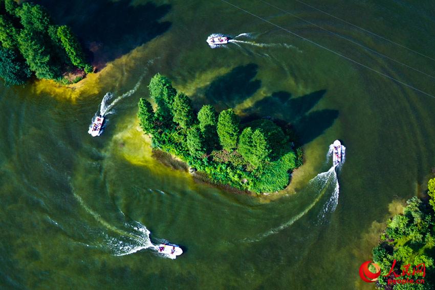 ��ѵ�ٱ������Ͻ��б����ʻ��