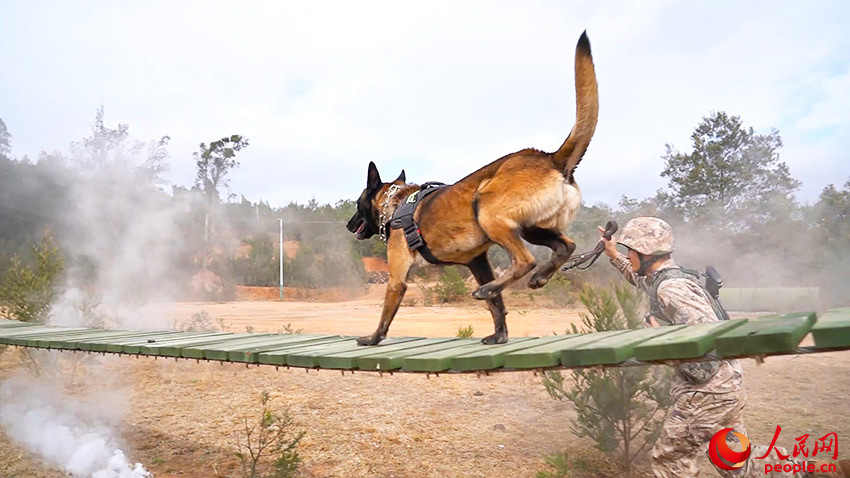 ͨ����Ⱦ�����ش���