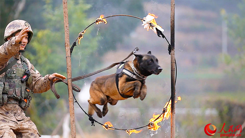 ����Ȧ��