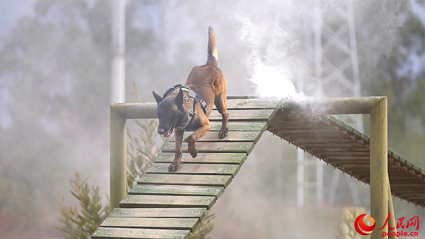 ͨ����Ⱦ�����ش���