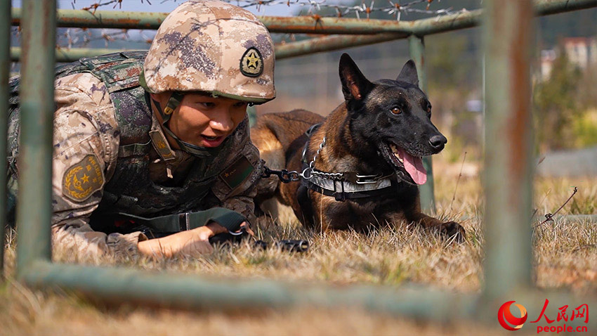 ͨ����˿����