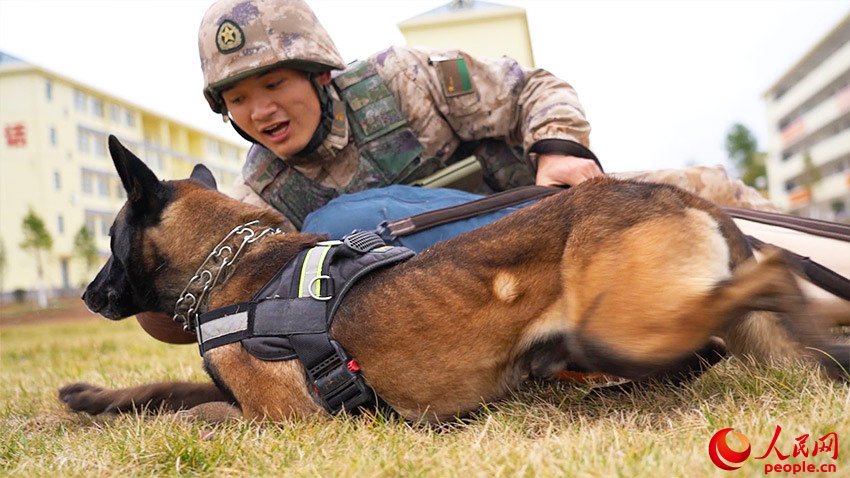 ս���Ȼ�ѵ����