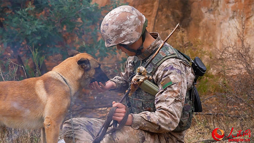 Ұ������ѵ����