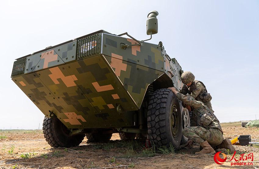 ����½ս��ĳ�������в�����Ӧ����̥ѵ����