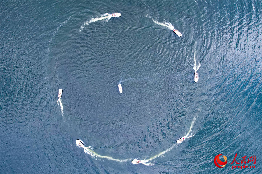 ����ѵ���������α�ӡ�