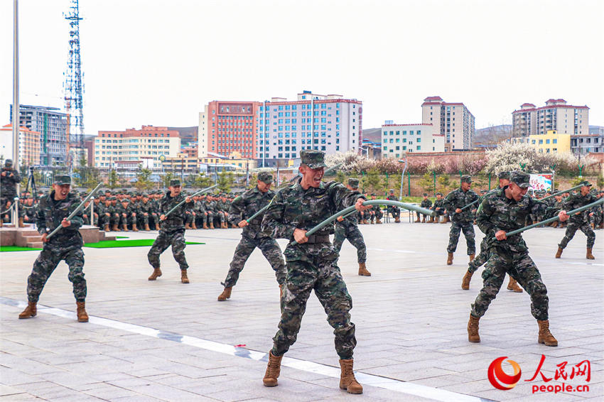 ����Ӧ������ѵ����