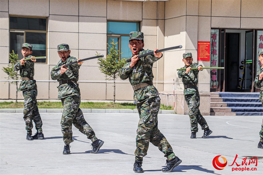 ����Ӧ������ѵ����