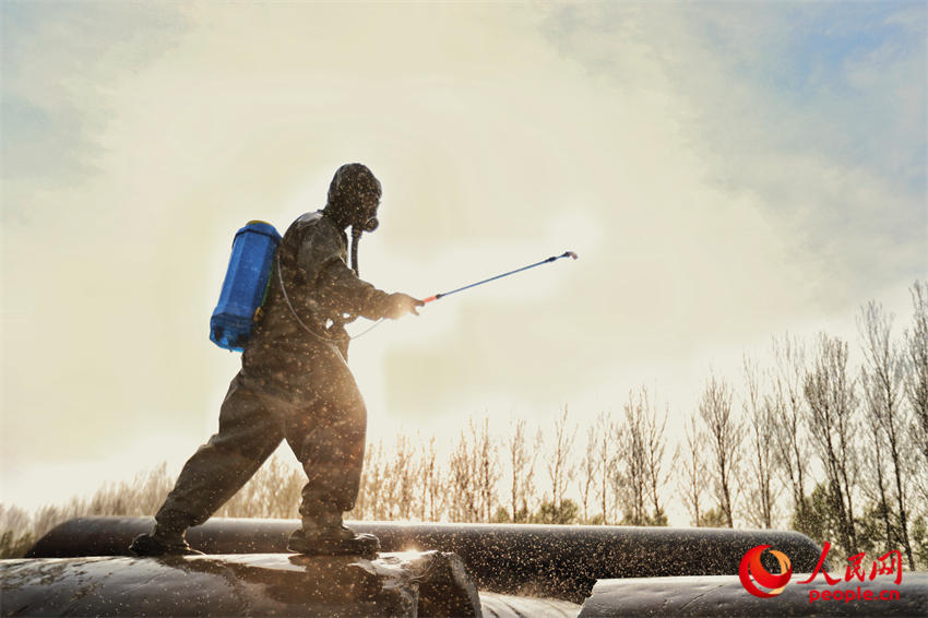 ��Ⱦ���������ϴ����