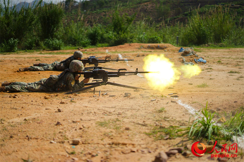 ��ǹ���������