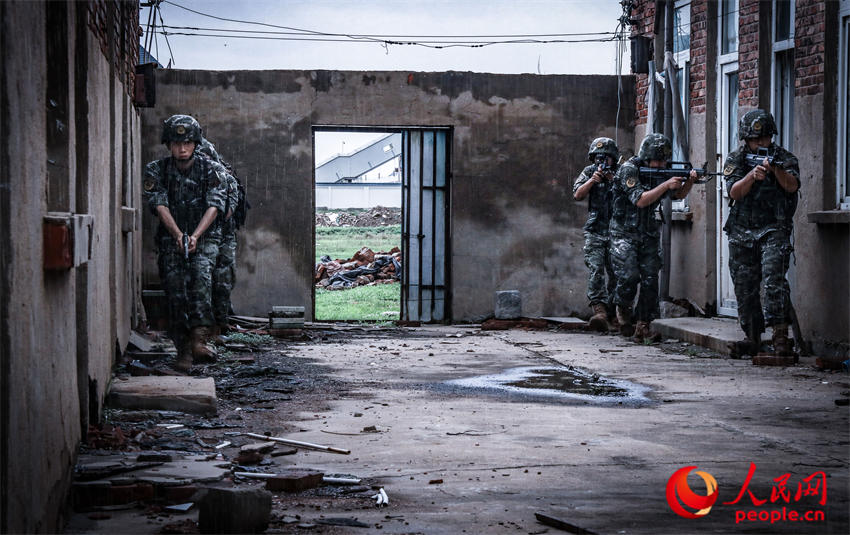 �������顣