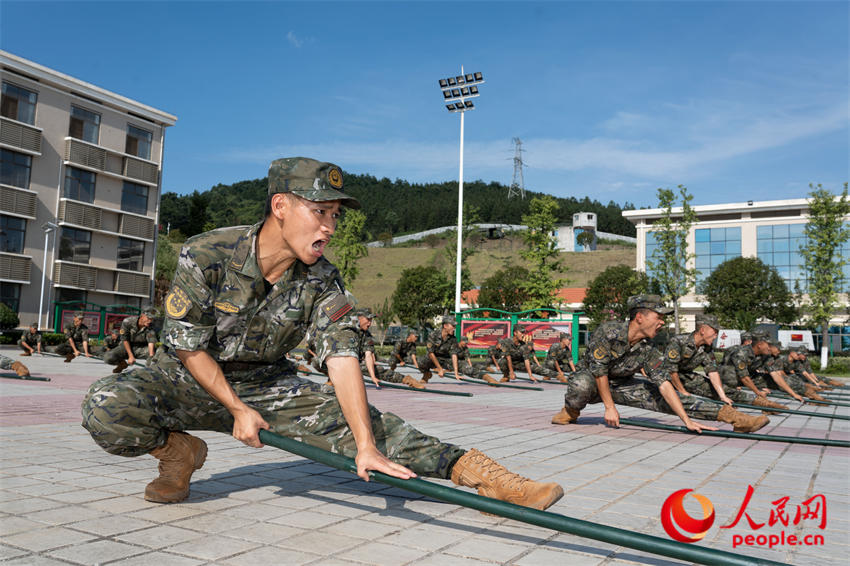 ����Ӧ������ѵ����