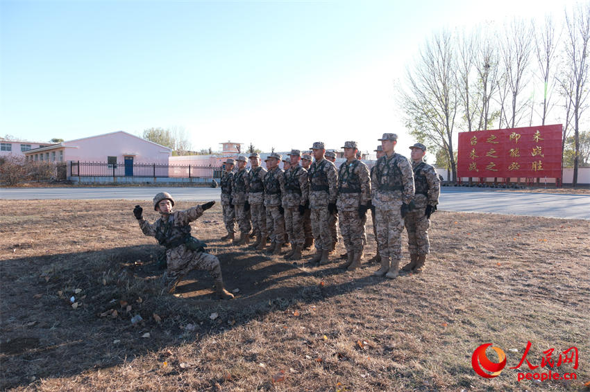 Ͷ������ѵ����