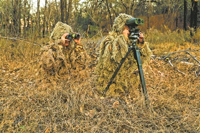 ����������ѵ�������� ��