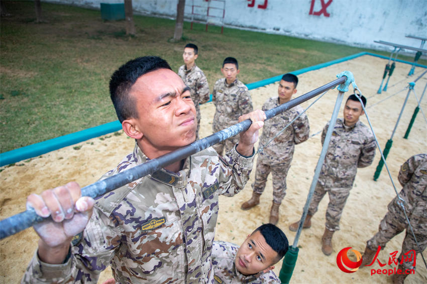 ������еѵ����