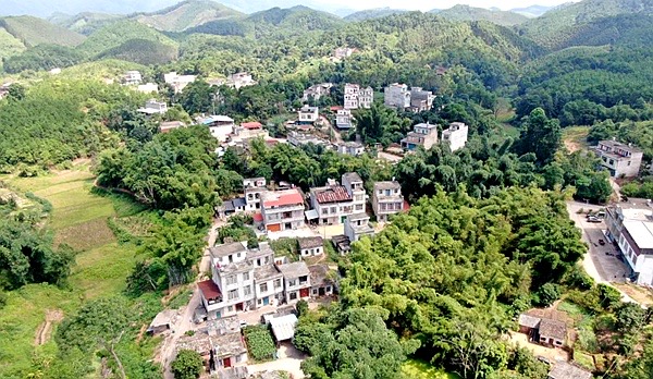 �����������Ƿ��͡�������ί��������ͼ