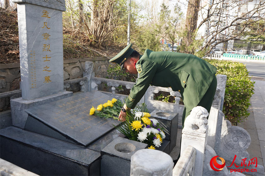 ����ʿ�ʻ���