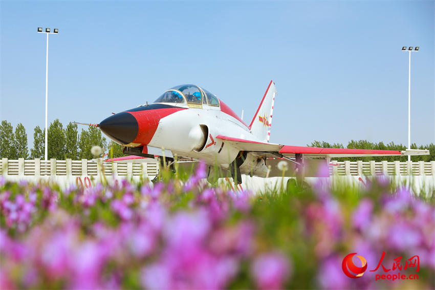 ���λ�����