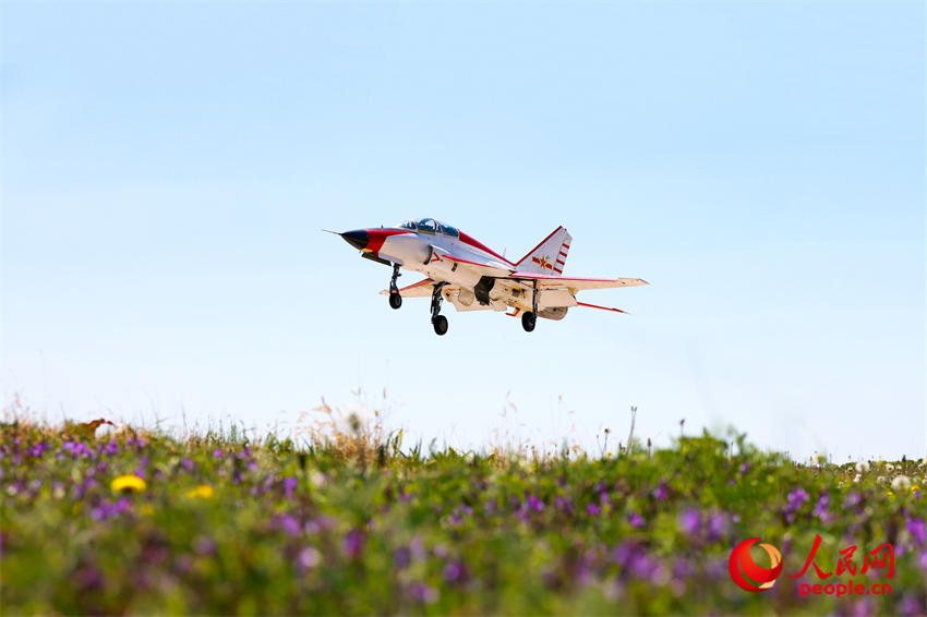 ½��ģ���Ž�ѵ����