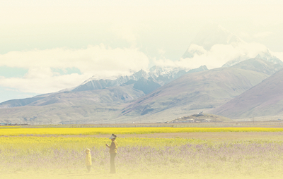 �����տ������Ƕ���׿ľ����ѩɽ���»������  ��  ����