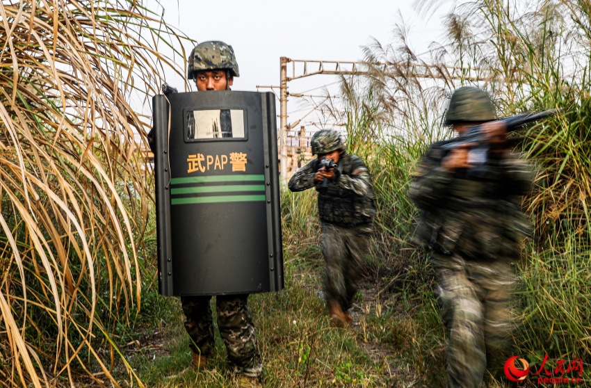 进行山林地搜索。