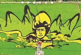 杨靖宇将军巨型稻田画全景。无人机航拍