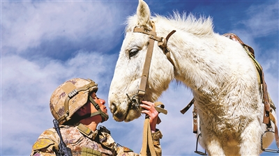 一名战士和军马合影。